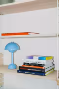 Boeken en een blauw lampje in een rek